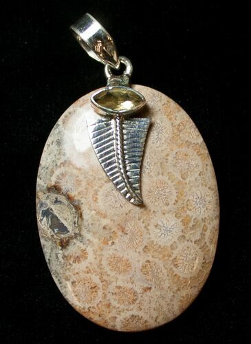 Large Fossil Coral Sunburst Pendant #8519